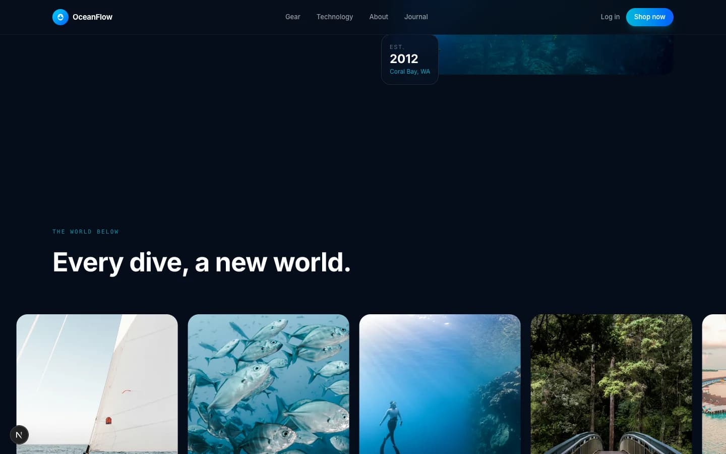 Ocean Flow — Diving Equipment Store preview 3